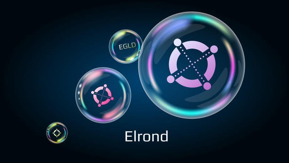 elrond coin review